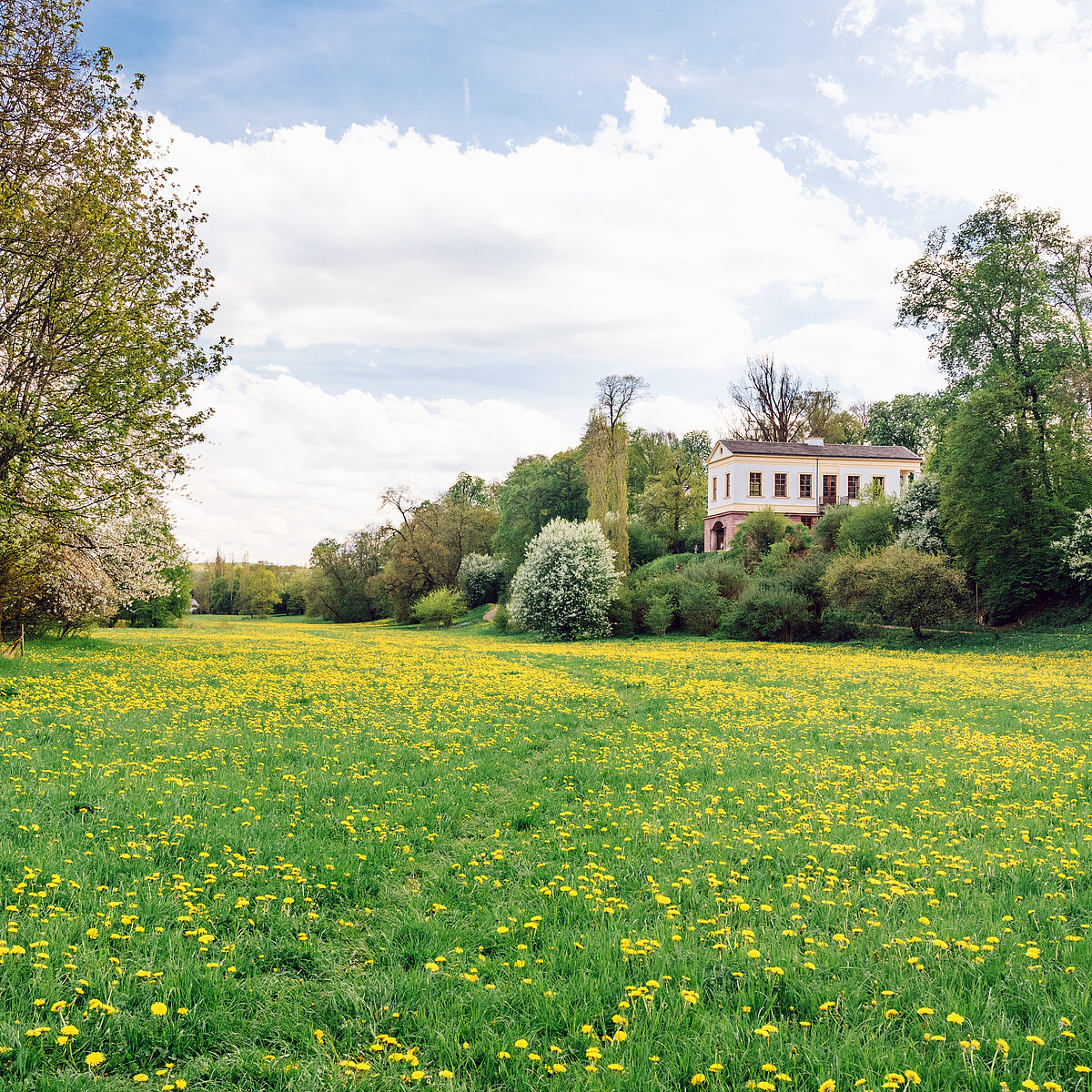 Sustainability Sustainability